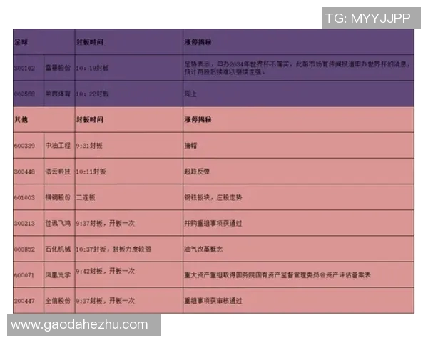 南京足球队与上海足球队赛后复盘探讨灵活性表现与战术调整分析
