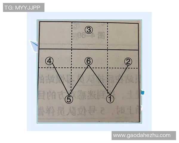 北京排球队在新赛季中的战术调整与球员表现的得失分析