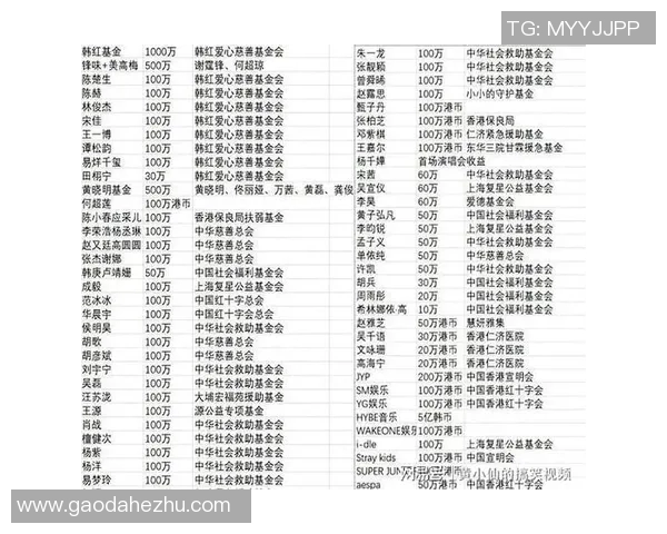 2008年足球明星为慈善事业捐款总额揭秘及影响分析